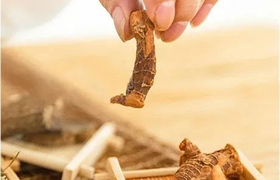 夏日三伏，教你如何科學養(yǎng)生，飲食指南讓你健康又消暑…